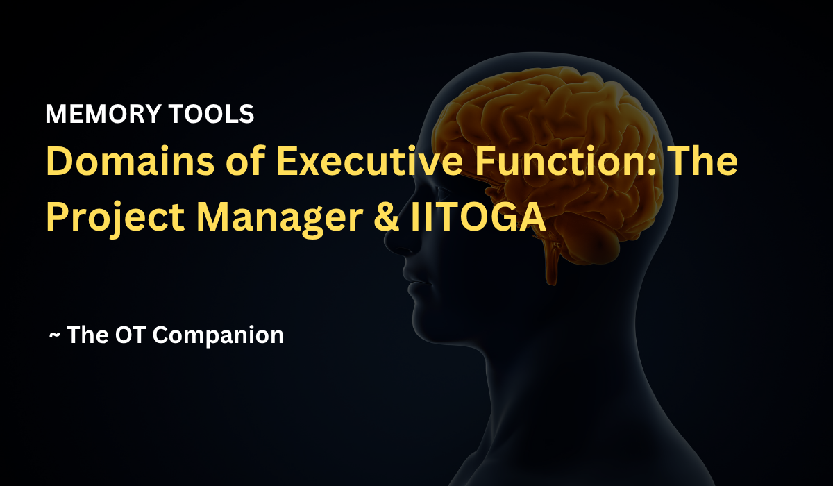 Domains of Executive Function: The Project Manager & IITOGA